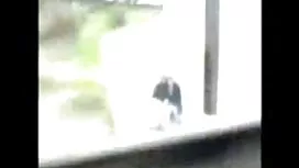 彼女の猫にマリファナで空港で拘束された女 ...
