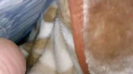 アマドラポルトガルプログレッシブ結婚式4 ...