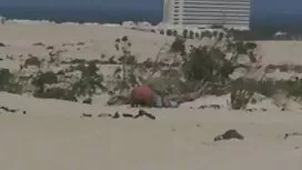 流出ポルノビデオ金髪が雌犬のように扱われ ...