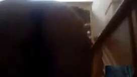2本当に熱いです雛は吸っています 女の子 ...